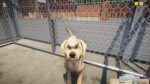 Animal Shelter PC Steam Gift GLOBAL SIMULATOR 60206 2 1