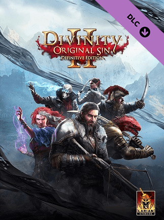 Divinity Original Sin 2 Divine Ascension PC GOG.COM Key GLOBAL DLCS 71128 2