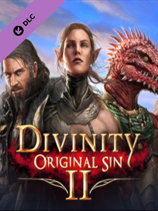 Divinity Original Sin 2 Divine Ascension Steam Gift GLOBAL DLCS 37292 2