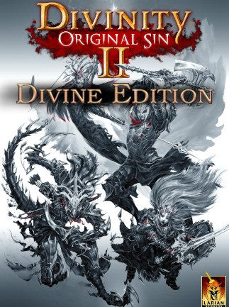 Divinity Original Sin 2 Divine Edition PC GOG.COM Key GLOBAL ADVENTURE 31612 2