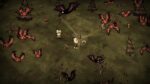 Dont Starve Together PC Steam Gift GLOBAL ACTION SHOOTING 4430 2 4