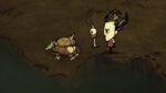 Dont Starve Together Seaside Chest PC Steam Gift GLOBAL DLCS 72429 2 4