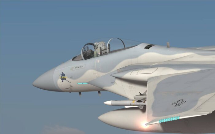 F 15C for DCS World Steam Gift GLOBAL DLCS 54860 2 7