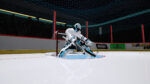 Goalie VR Steam Key GLOBAL SIMULATOR 40030 2 6