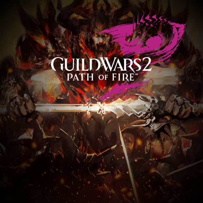 Guild Wars 2 Path of Fire Standard Edition PC NCSoft Key GLOBAL ACTION 11022 2 1