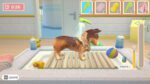 My Universe Pet Clinic Cats Dogs PC Steam Key GLOBAL SIMULATOR 69577 2 4