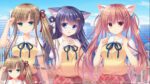 NEKO NIN exHeart PLUS Saiha Steam Key GLOBAL SIMULATOR 45579 2 1