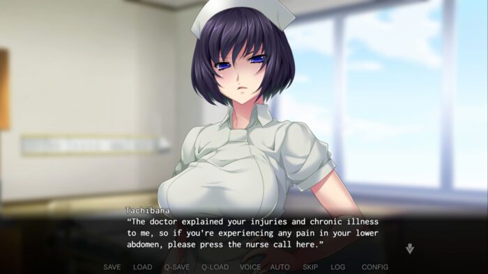 Nope Nope Nurses PC Steam Gift GLOBAL ADVENTURE 59868 2 1