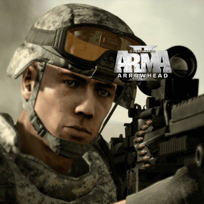 Arma 2 Operation Arrowhead Steam Key GLOBAL ACTION SHOOTING 13916 2