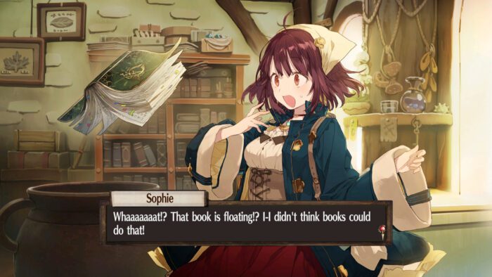 Atelier Sophie The Alchemist of the Mysterious Book DX PC Steam Gift GLOBAL ADVENTURE 39022 2 4