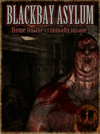 Blackbay Asylum Steam Key GLOBAL PUZZLE 36100 2