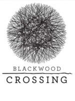 Blackwood Crossing Steam Gift GLOBAL ADVENTURE 48586 2