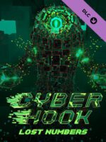 Cyber Hook Lost Numbers PC Steam Key GLOBAL DLCS 12718 2