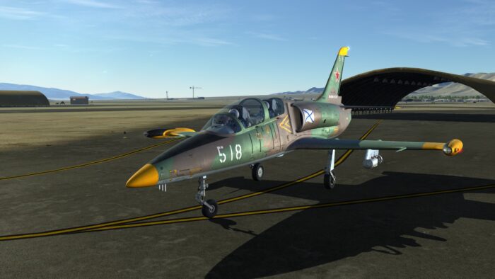 DCS L 39 Albatros Key GLOBAL DLCS 43991 2 9