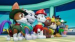 Paw Patrol On a Roll Steam Key GLOBAL ACTION 7737 2