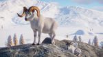 Planet Zoo Arctic Pack Steam Gift GLOBAL EXTRA CONTENT 37617 2 1