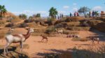 Planet Zoo Arid Animal Pack PC Steam Gift GLOBAL EXTRA CONTENT 64983 2 5