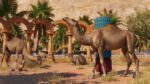 Planet Zoo Arid Animal Pack PC Steam Gift GLOBAL EXTRA CONTENT 64983 2 7