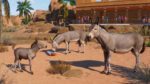 Planet Zoo Arid Animal Pack PC Steam Gift GLOBAL EXTRA CONTENT 64983 2 9