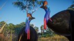 Planet Zoo Australia Pack PC Steam Gift GLOBAL DLCS 37680 2 8