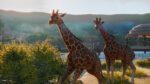 Planet Zoo Deluxe Edition Steam Key GLOBAL ACTION 6995 2 6