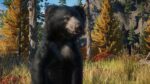 Planet Zoo Eurasia Animal Pack PC Steam Gift GLOBAL DLCS 71052 2 2