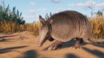 Planet Zoo Grasslands Animal Pack PC Steam Gift GLOBAL EXTRA CONTENT 40996 2 3