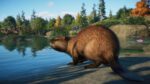 Planet Zoo North America Animal Pack PC Steam Gift GLOBAL DLCS 37788 2 1