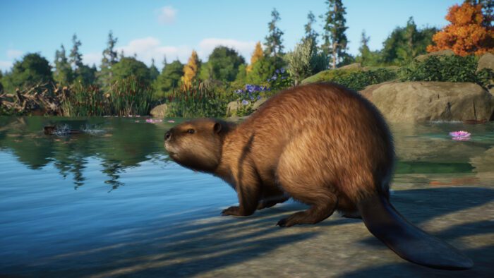 Planet Zoo North America Animal Pack PC Steam Gift GLOBAL DLCS 37788 2 1