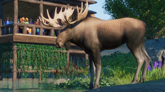 Planet Zoo North America Animal Pack PC Steam Key GLOBAL DLCS 1458 2 2