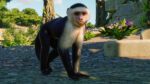 Planet Zoo South America Pack PC Steam Gift GLOBAL DLCS 41088 2 8