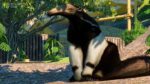 Planet Zoo South America Pack PC Steam Key GLOBAL DLCS 1896 2 5