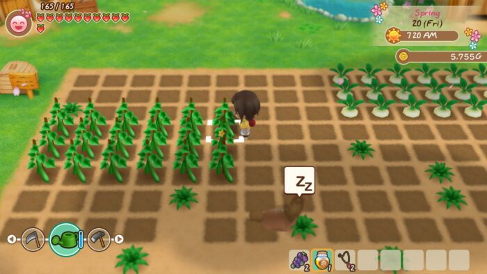 STORY OF SEASONS Friends of Mineral Town PC Steam Gift GLOBAL SIMULATOR 41880 2 2