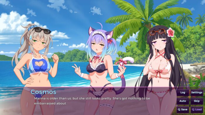 Sakura Succubus 4 PC Steam Key GLOBAL SIMULATOR 45234 2 1