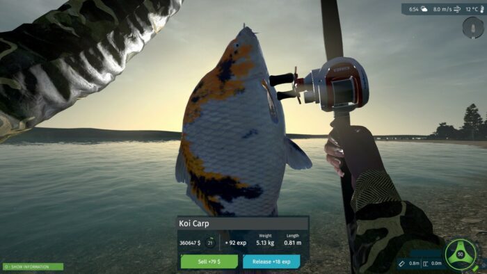 Ultimate Fishing Simulator Taupo Lake PC Steam Key GLOBAL DLCS 69568 2 9