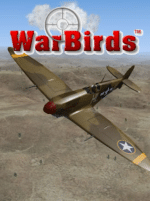 WarBirds World War II Combat Aviation Steam Gift GLOBAL ACTION SHOOTING 48854 2