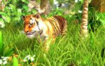 Wildlife Park 3 Steam Key GLOBAL SIMULATOR 8713 2