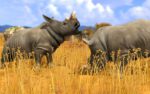 Wildlife Park 3 Steam Key GLOBAL SIMULATOR 8713 2 4