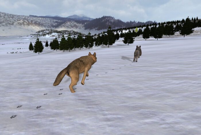 WolfQuest Steam Gift GLOBAL SIMULATOR 49032 2 2