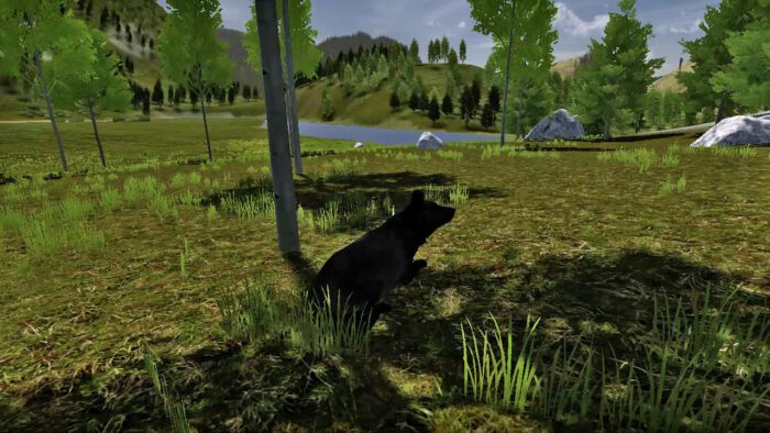 WolfQuest Steam Gift GLOBAL SIMULATOR 49032 2 5