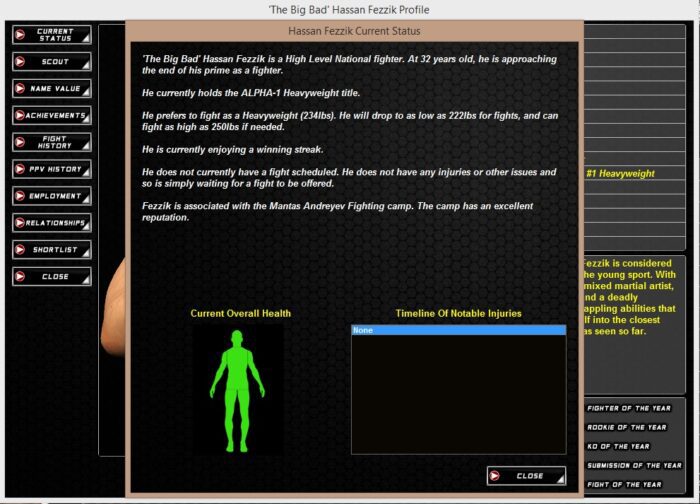 World of Mixed Martial Arts 3 Steam Key GLOBAL SIMULATOR 38769 2