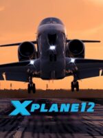 X Plane 12 PC Steam Gift GLOBAL SIMULATOR 61087 2