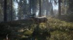 theHunter Call of the Wild Starter Bundle PC Steam Key GLOBAL ACTION 14512 2 21