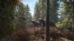 theHunter Call of the Wild Starter Bundle PC Steam Key GLOBAL ACTION 14512 2 22