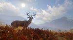 theHunter Call of the Wild Starter Bundle PC Steam Key GLOBAL ACTION 14512 2 6